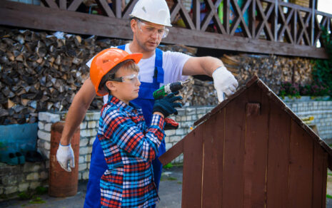 Hogyan és hogyan ne használjuk a polifoam-ot a kutya környezetében?